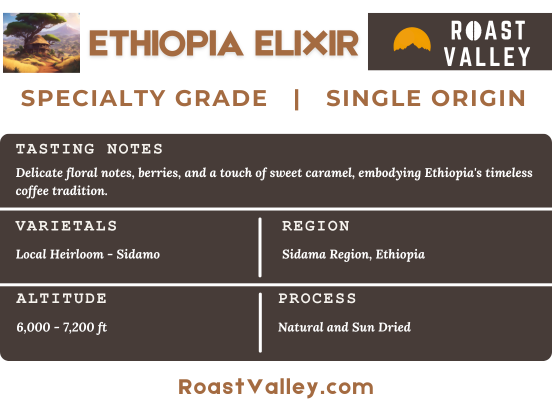 Ethiopia Elixir